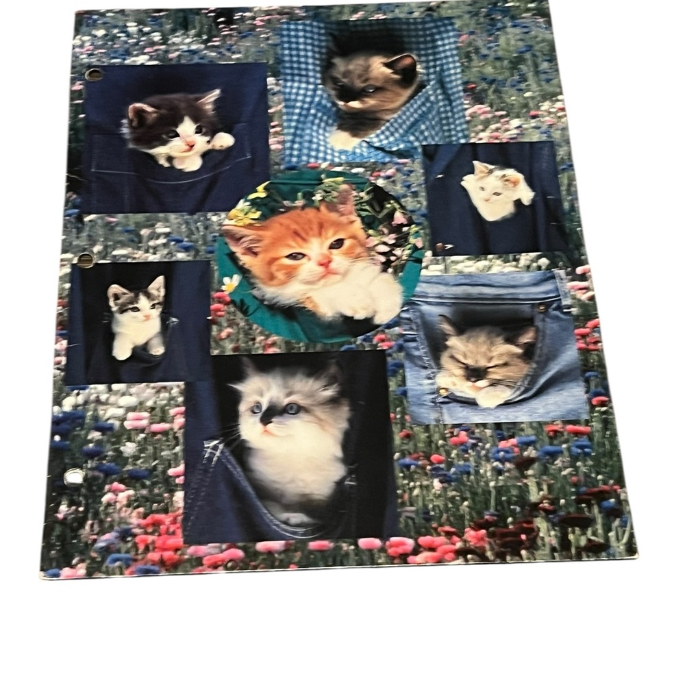 Cute Kitten blue folder